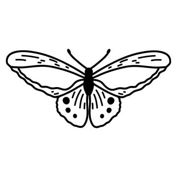 Hand drawn doodle butterfly. Vector sketch illustration, black outline art of Stock Illustration