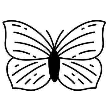 Hand drawn doodle butterfly. Vector sketch illustration, black outline art of Stock Illustration
