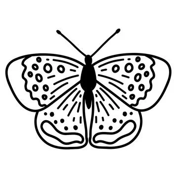 Hand drawn doodle butterfly. Vector sketch illustration, black outline art of Stock Illustration