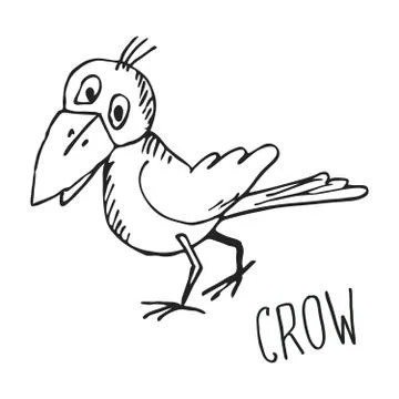 Hand drawn doodle crow. Vector. Stock Illustration
