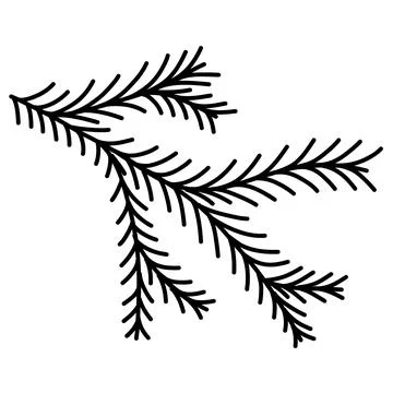 Hand drawn doodle of evergreen pine fir branche christmas tree in vector form Stock Illustration