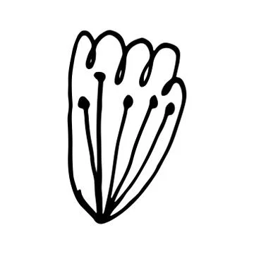 Hand drawn doodle flower head illustration Stock Illustration
