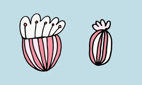 Hand drawn doodle flower head illustration Stock Illustration