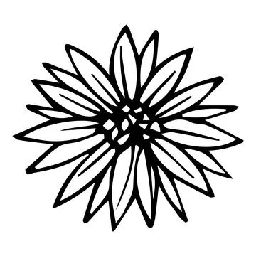 Hand-drawn doodle flower Stock Illustration