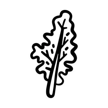 Hand-drawn doodle kale leaf illustration isolated on a white background. Si.. Stock Illustration