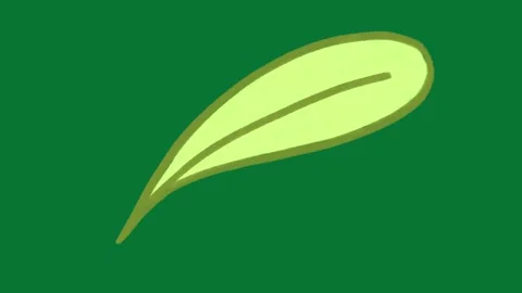 Hand Drawn Doodle Leaf Animation Green Screen Stock Footage 323469274
