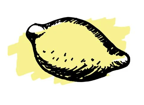Hand drawn doodle lemon. Stock Illustration