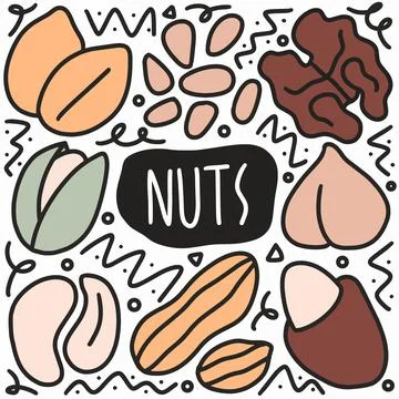 Hand drawn doodle nuts beams Illustrazione stock