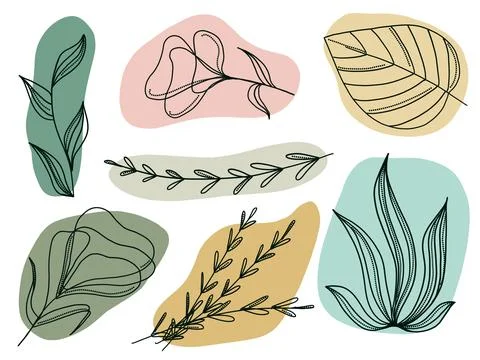 Hand drawn doodle objects, shapes, spots, leaf, flower, plants, freehand line Stock Illustration