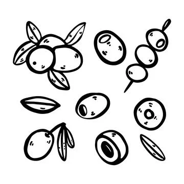 Hand drawn doodle olive set. Includes olives on a branch Stock Illustration