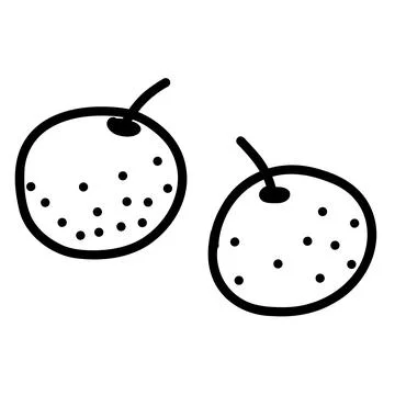 Hand drawn doodle of orange in vector format Stock Illustration