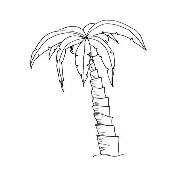 Hand drawn doodle palm tree. Sketch monochrome design element for t-shirt pri Stock Illustration