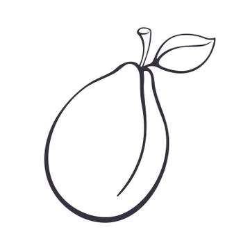Hand drawn doodle of plum with stem and leaf. Stock Illustration