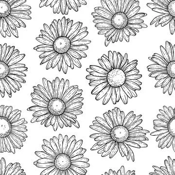 Hand Drawn doodle Scribble floral plants camomile seamless pattern. Abstrac.. イラスト素材