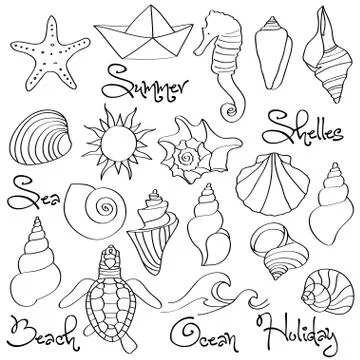 Hand drawn doodle Seashells and Sea elements set Stock Illustration