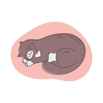 Hand drawn doodle sleeping cat isolated on white background Illustration