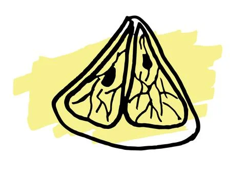 Hand drawn doodle slice of lemon. Stock Illustration