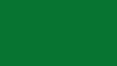 Hand Drawn Doodle Sparkle Animation Green Screen Stock Footage 323468640