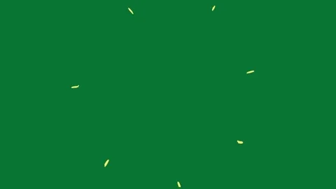 Hand Drawn Doodle Sparkle Animation Green Screen Stock-Footage 323468710