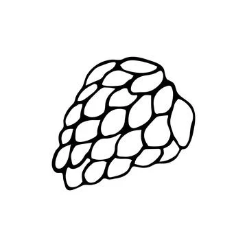 Hand drawn doodle style pinecone in vector Illustrazione stock