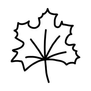Hand drawn doodle style vector illustration of single maple tree leaf. Black Stock Illustration