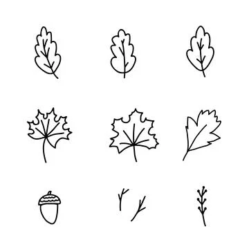 Hand drawn doodle style vector illustration set of fall forest nature elements Stock Illustration