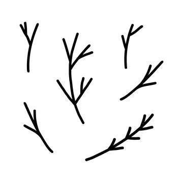 Hand drawn doodle style vector illustration set of branches and twigs. Black Stock Illustration