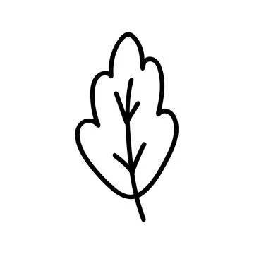 Hand drawn doodle style vector illustration of single oak tree leaf. Black Stock Illustration