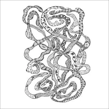 Hand drawn Doodle Tapeworm Stock Illustration