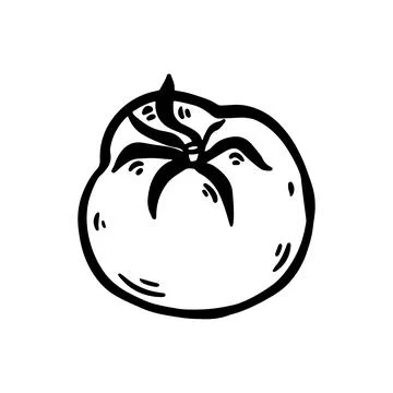 Hand-drawn doodle of a tomato Stock Illustration