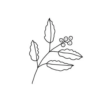 Hand drawn doodle vector illustration of ripe red coffee bean plant with green Stock Illustration
