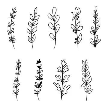 Hand drawn doodle vector leaves and branches. Collection of tree Floral, plant Stock Illustration
