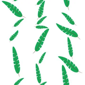 Hand drawn doodle zentangle feather pattern. Vector hand-drawn hipster illu.. Stock Illustration