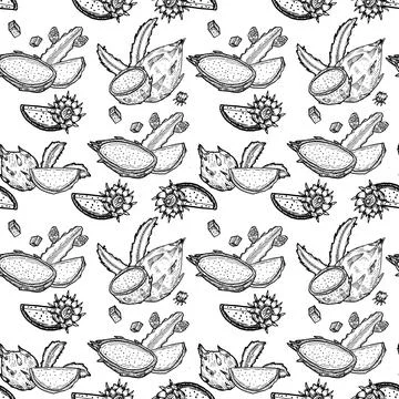 Hand drawn dragon fruits pattern. Outline fresh food background. Tropical fru Stock Illustration