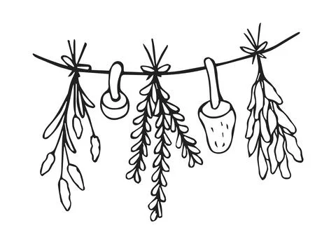 Hand Drawn Dried Herbs Grass and Mushroom Hanging on Rope Line Art Doodle I.. Stock Illustration