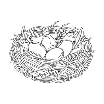 Hand Drawn Easter Bird Nest With Eggs and Feathers Minimal Line Art Stock Illustration