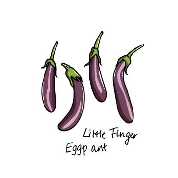 Hand drawn eggplants Stock Illustration