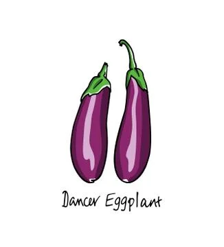 Hand drawn eggplants Stock Illustration