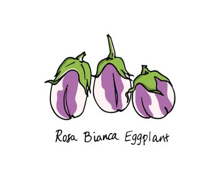 Hand drawn eggplants Stock Illustration