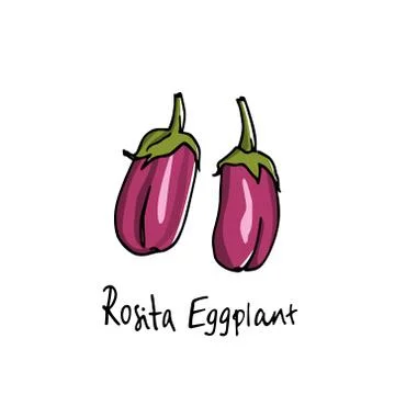 Hand drawn eggplants Stock Illustration