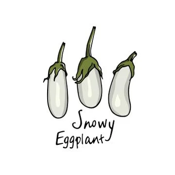 Hand drawn eggplants Stock Illustration