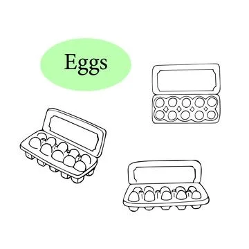 Hand-drawn Eggs in carton pack. Set of eggs in a pack in doodle style isola.. Stock Illustration