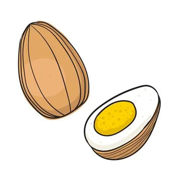 Hand drawn eggs on a white background. Stock Illustration