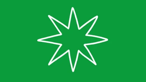 Hand Drawn Eight Point Star Outline 2D Animation Green Screen Overlay Vidéo 341798336