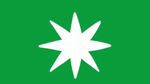 Hand Drawn Eight Point White Star Burst 2D Animation Green Screen 動画素材 341798381