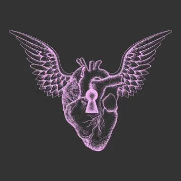 Hand drawn elegant anatomic human heart with wings and keyhole Stock-Illustration