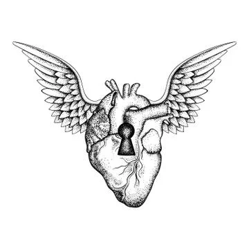 Hand drawn elegant anatomic human heart with wings and keyhole Illustration