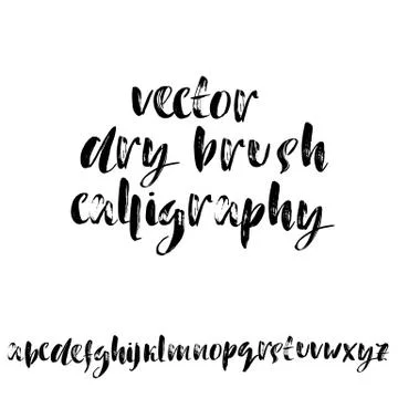 Hand drawn elegant calligraphy font. Modern brush lettering. Grunge style Stock Illustration