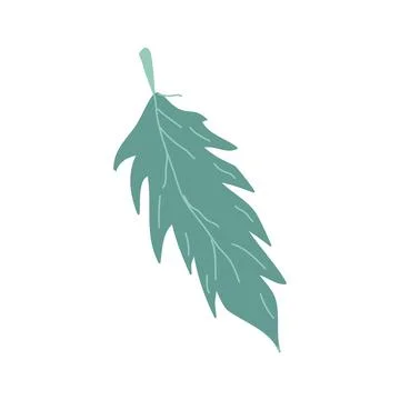 Hand drawn elements bird feathers wild tribe. Stock Illustration