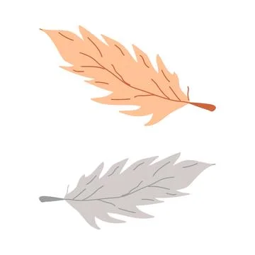 Hand drawn elements bird feathers wild tribe. Stock Illustration